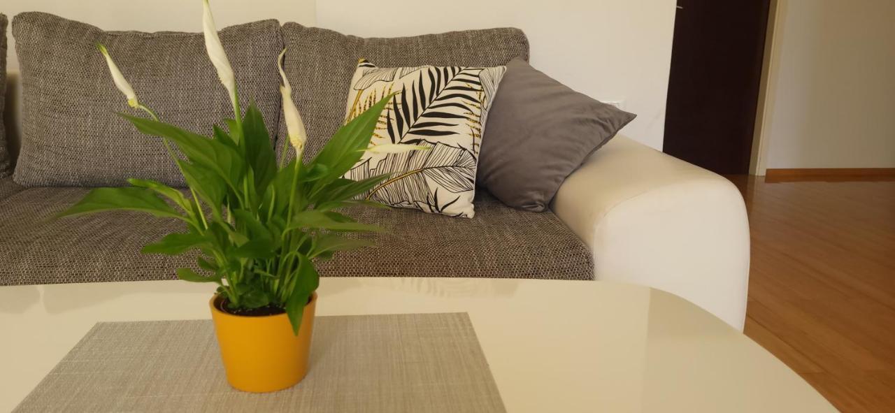 Apartment Petra Pekica Пула Екстериор снимка